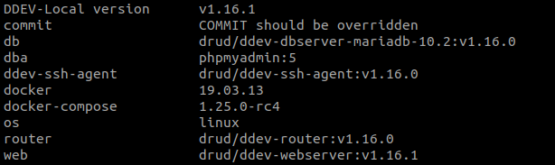 Drupal and DDEV - DDEV version