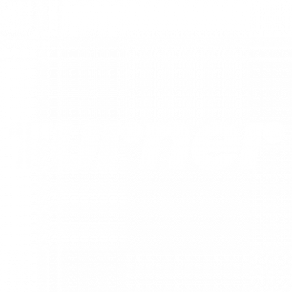 Turner Proyecto Drupal