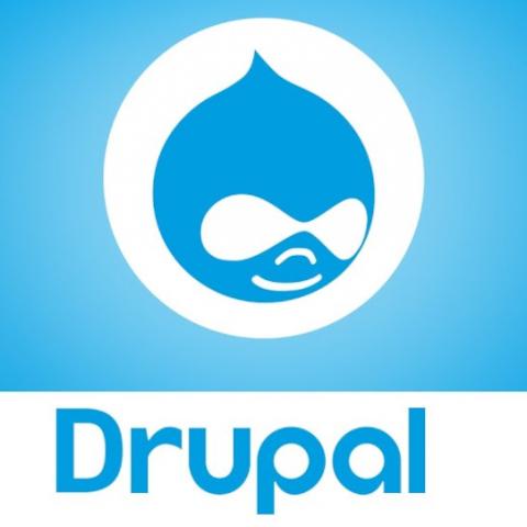 ¿Por qué Drupal? ¿Por qué La Drupalera?